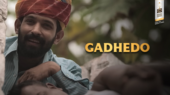 Gadhedo
