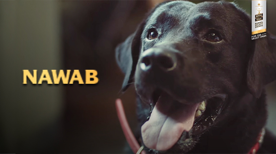 Nawab