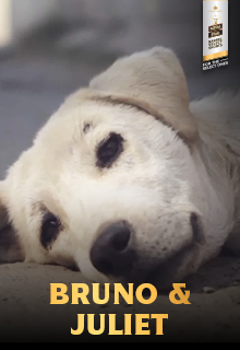 Bruno & Juliet