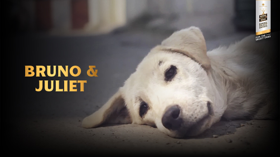 Bruno & Juliet